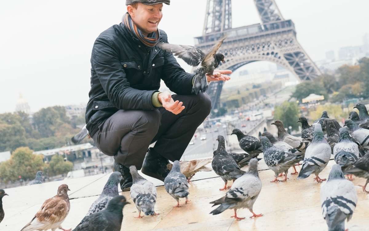 A man squatting in front of the pigeons Eifel Tower at the background proving that they remember his face 