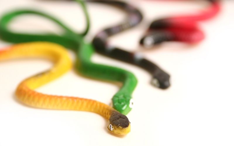 Several rubber snakes in different colors that may scare away the birds and avoid pooping on the porch.