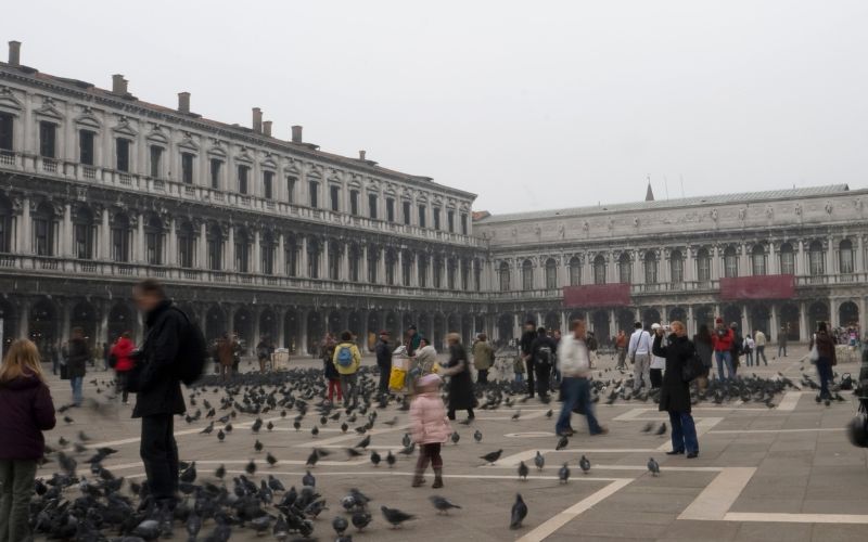 People and pigeons in Piazza San Marco, Venice in Italy